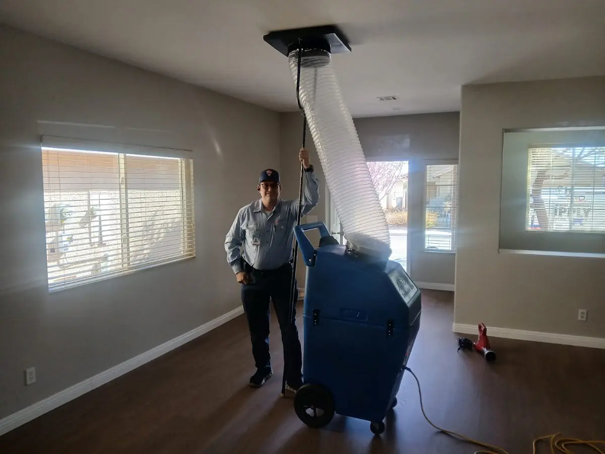 Professional Dryer Vent Cleaning work inside a Northville home